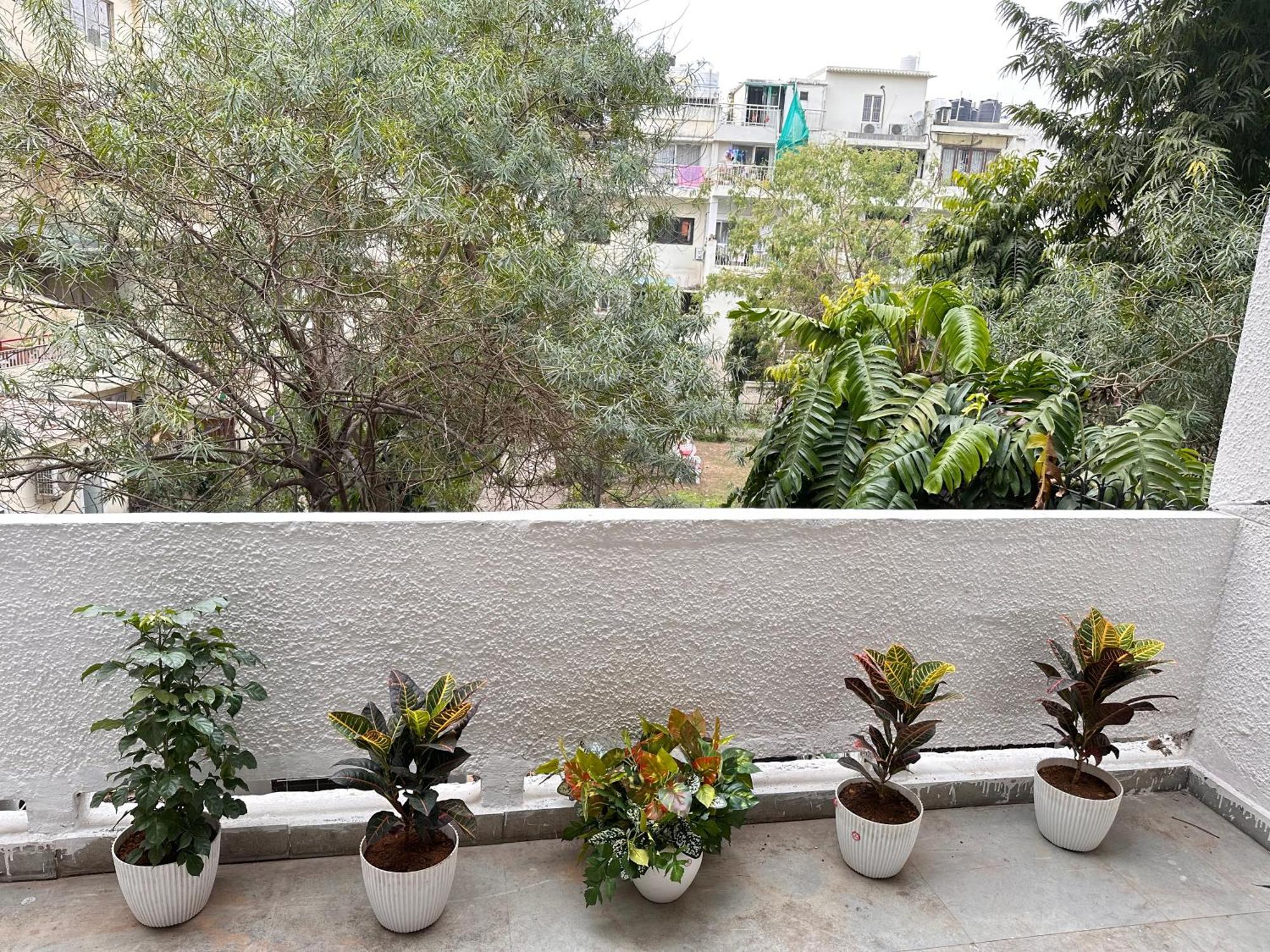 Grove Residency Hauz Khas New Delhi Couple Friendly Hotel Eksteriør billede